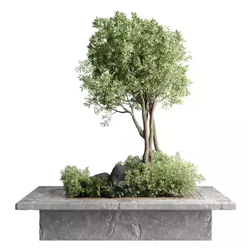 Collection Outdoor Indoor plant Green benches stone bench garden