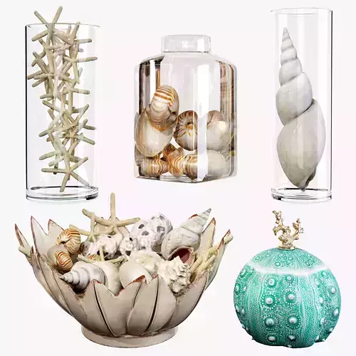 Sea shell decorative set 01