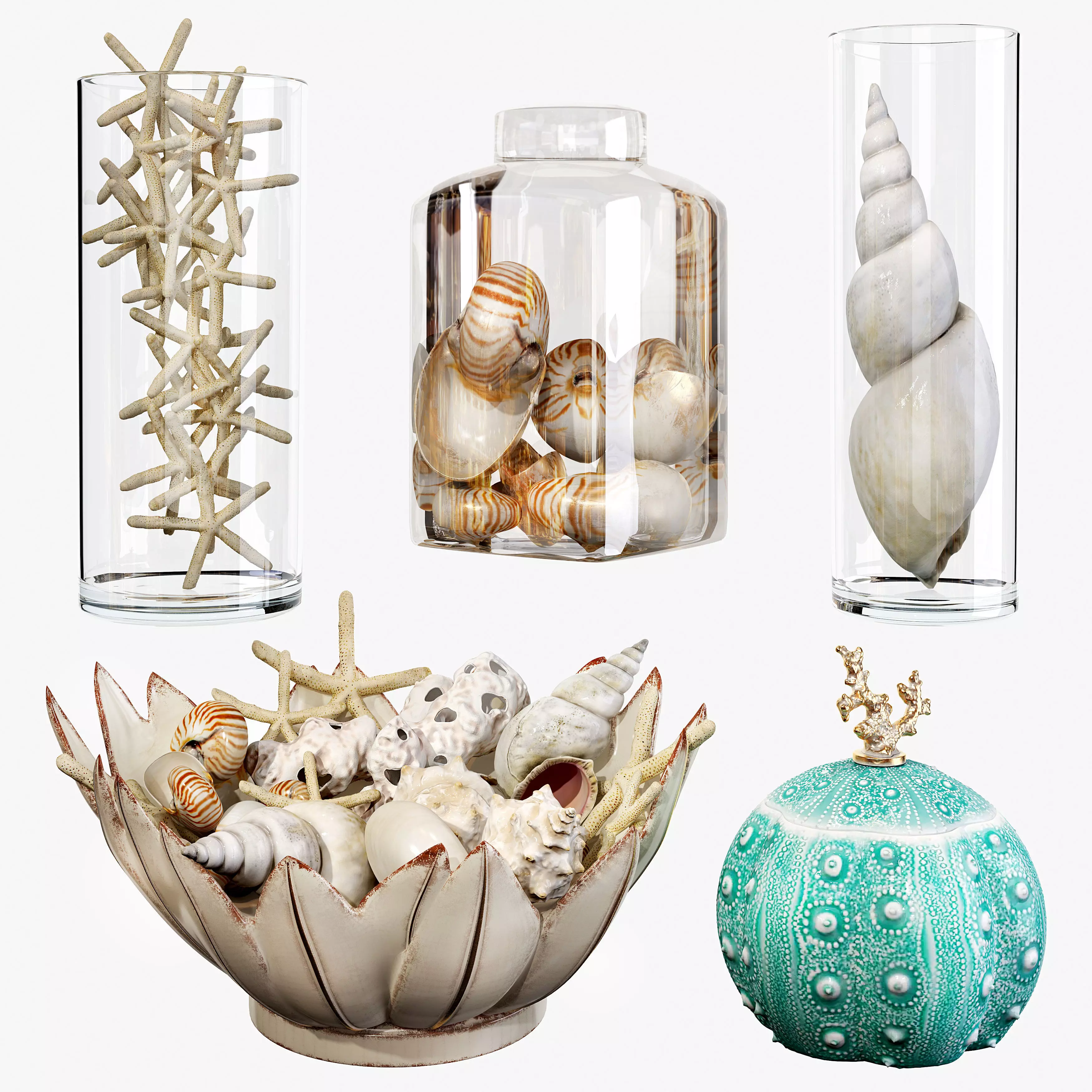 Sea shell decorative set 01 3D model_0