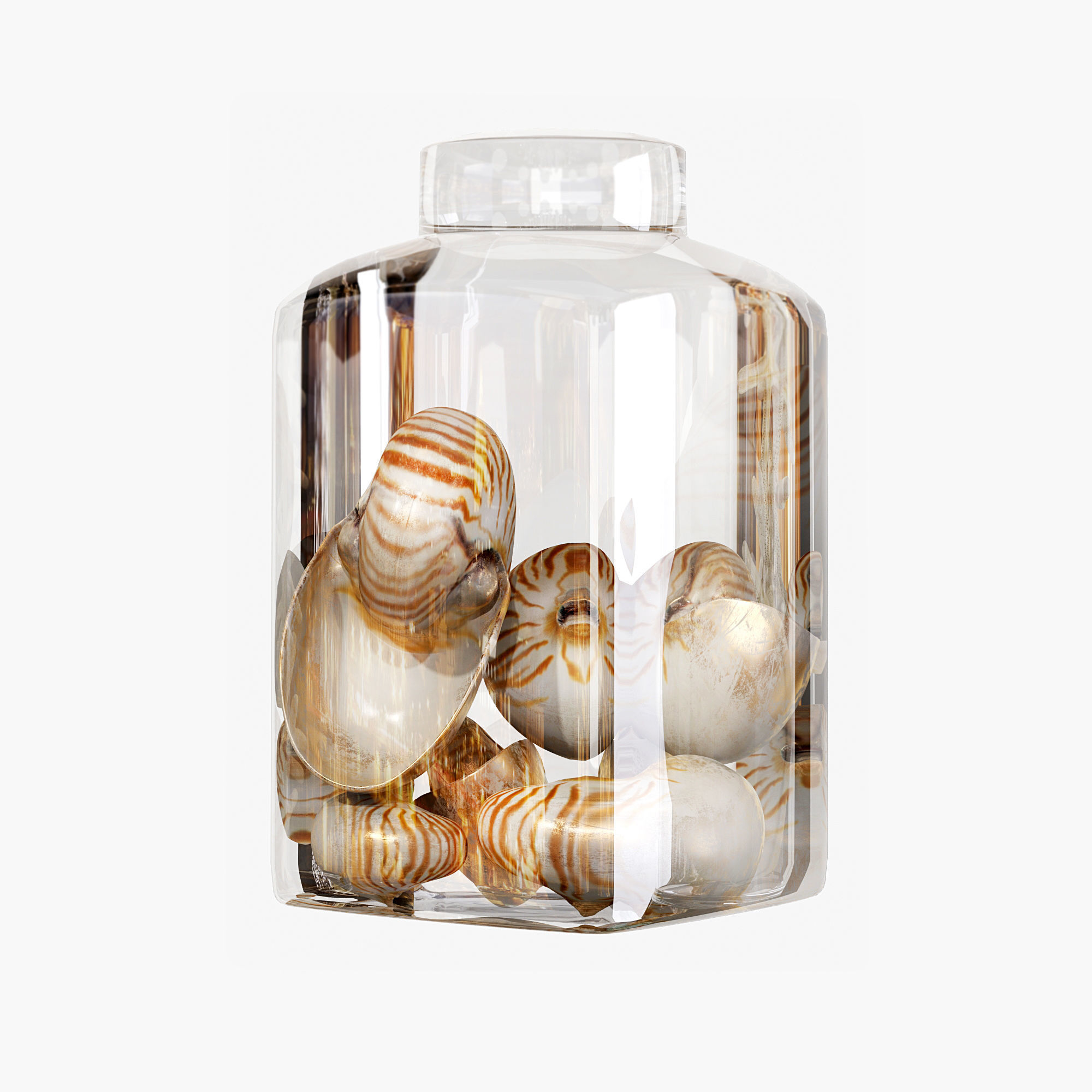 Sea shell decorative set 01 3D model_2