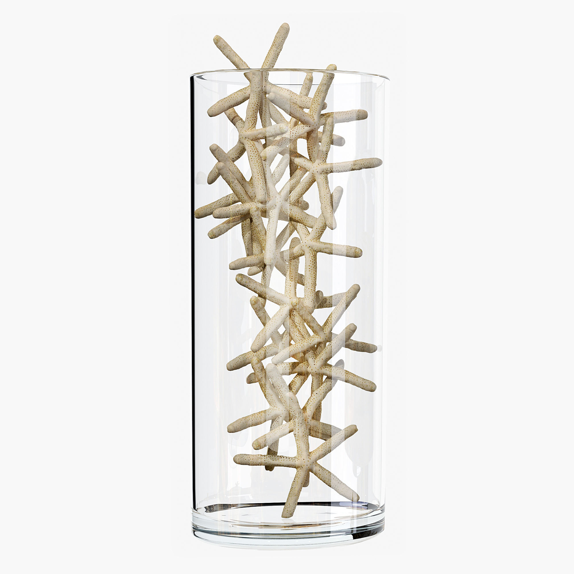 Sea shell decorative set 01 3D model_4