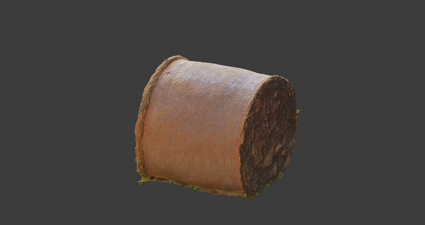 PBR Haystack Photoscan processed Low-poly 3D model_6
