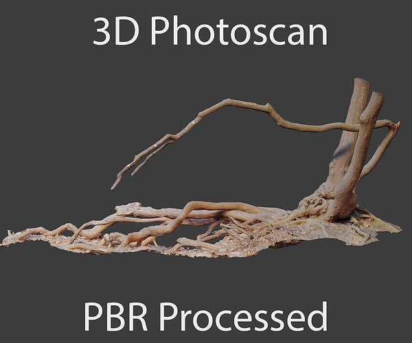 PBR Oak Roots Big Photoscan 3D model