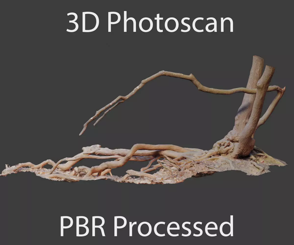 PBR Oak Roots Big Photoscan 3D model_0