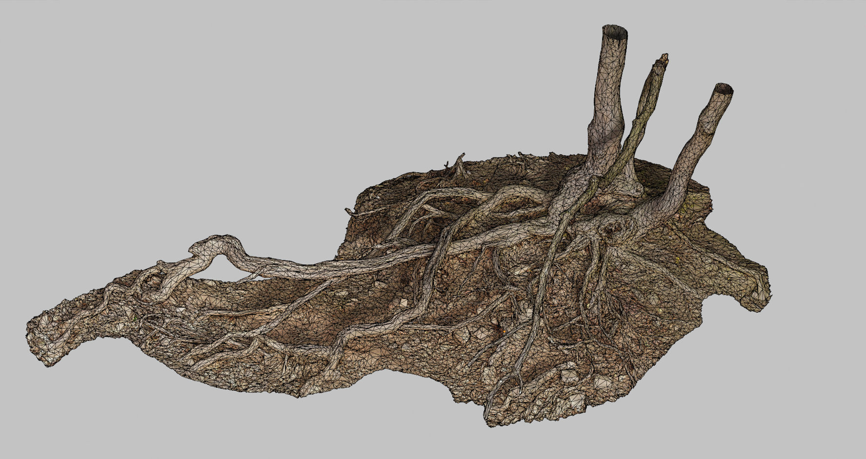 PBR Oak Roots Big Photoscan 3D model_5