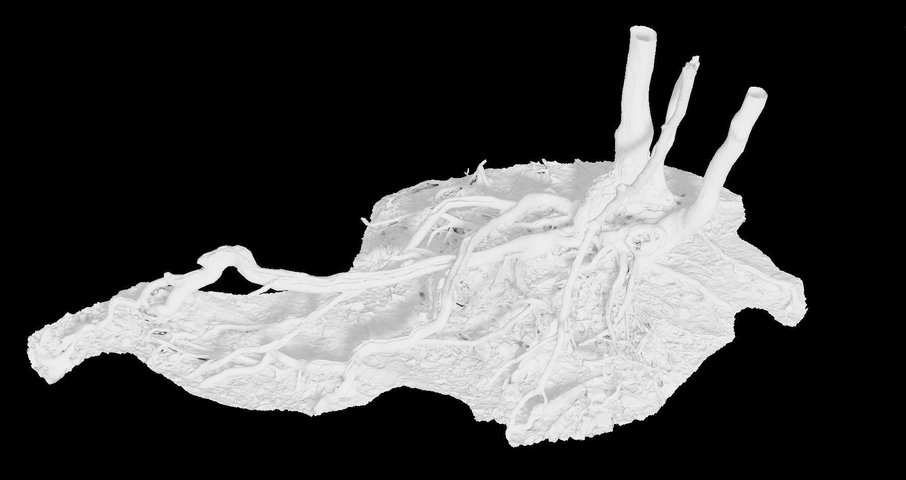 PBR Oak Roots Big Photoscan 3D model_3