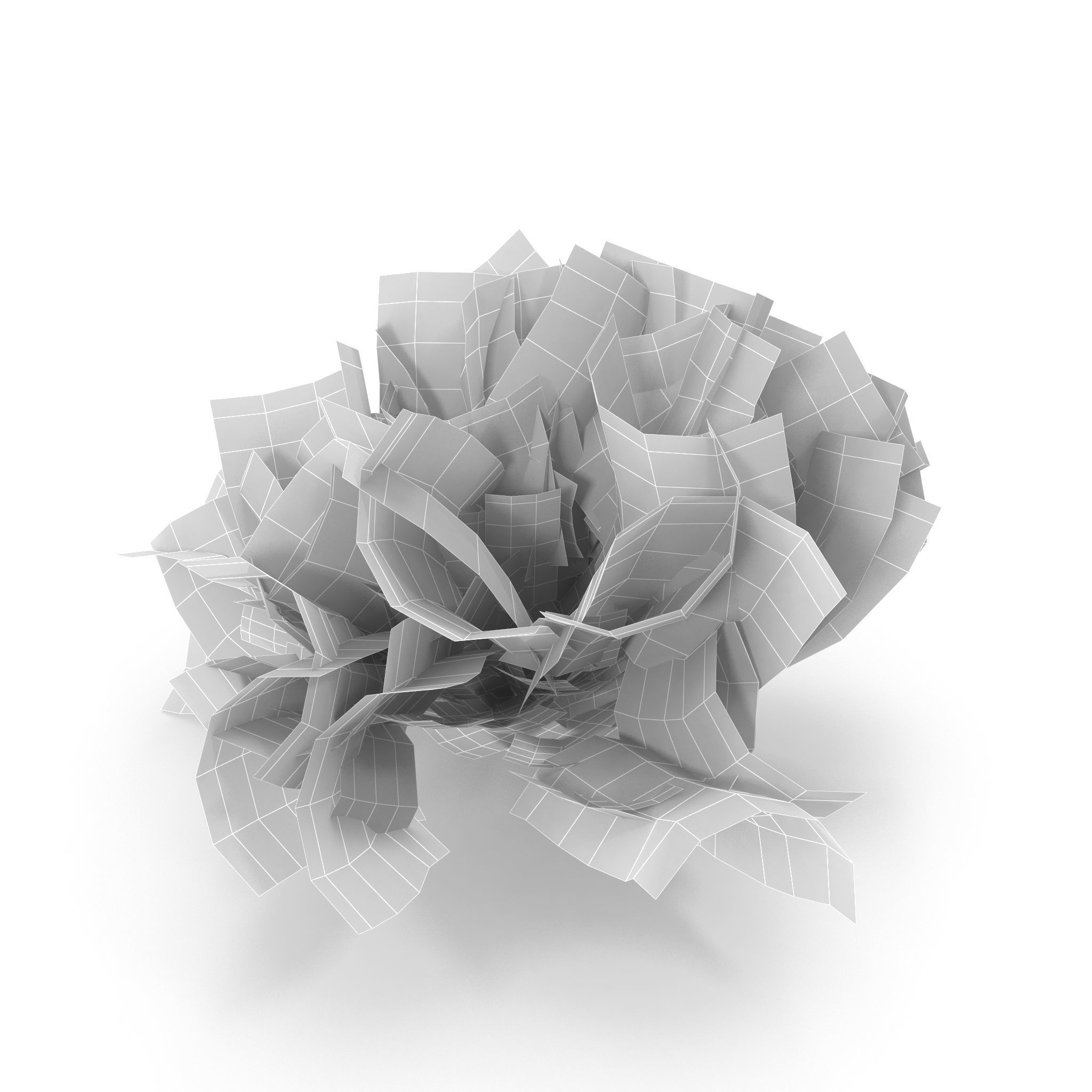 Seaweed set small 3D Model Collection_19