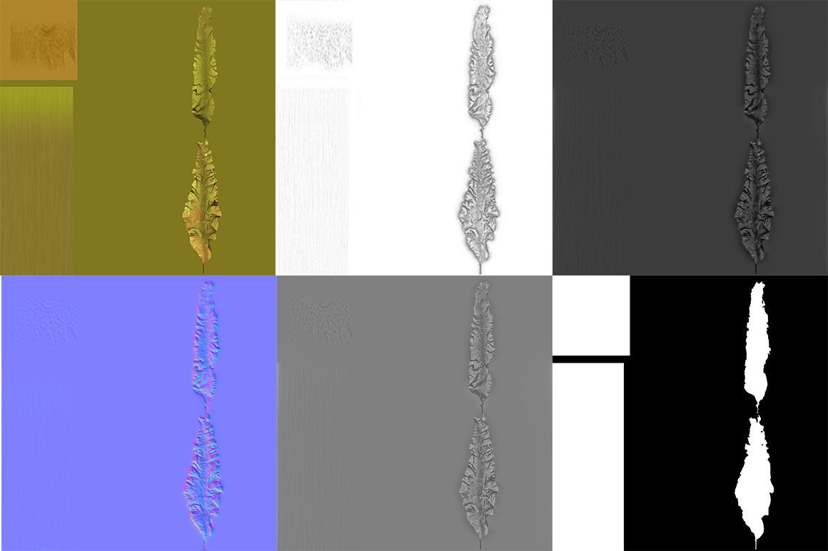 Seaweed set small 3D Model Collection_22