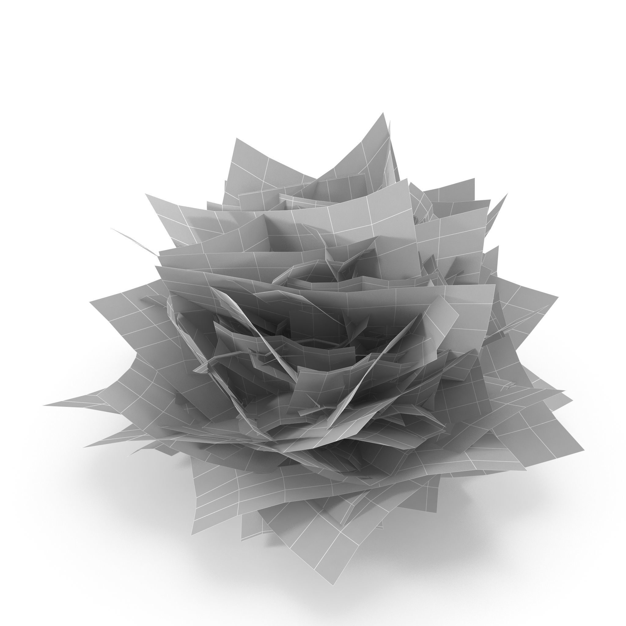 Seaweed set small 3D Model Collection_17