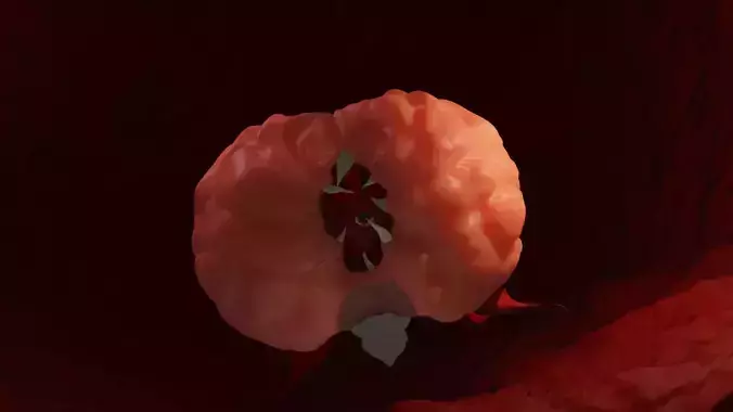 Brain of cthulhu terraria boss with phases 3D model