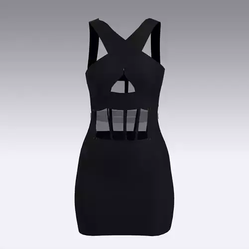 CORSET DRESS TRANSPARENT SMALL DRESS LOOK