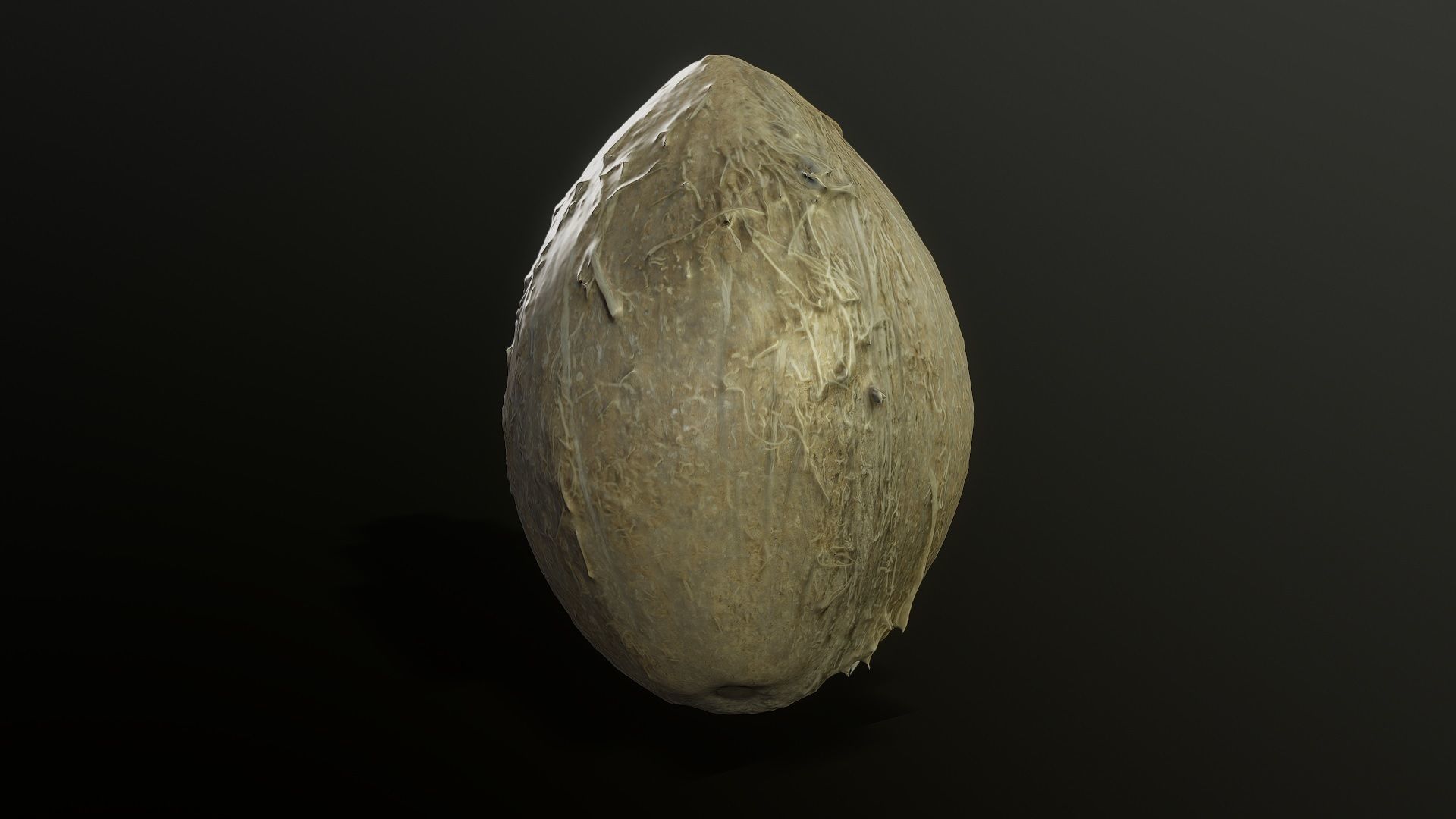 3D Scan Coconut 02 Low-poly 3D model_2