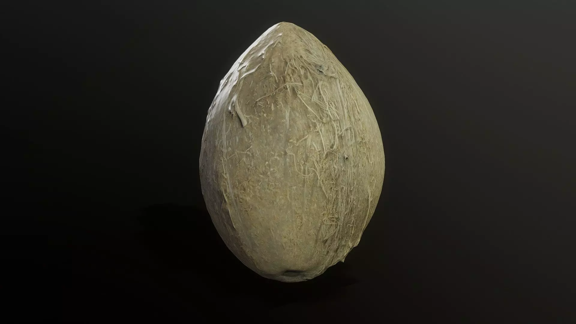 3D Scan Coconut 02 Low-poly 3D model_0