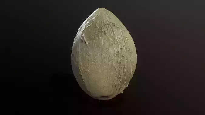 3D Scan Coconut 02