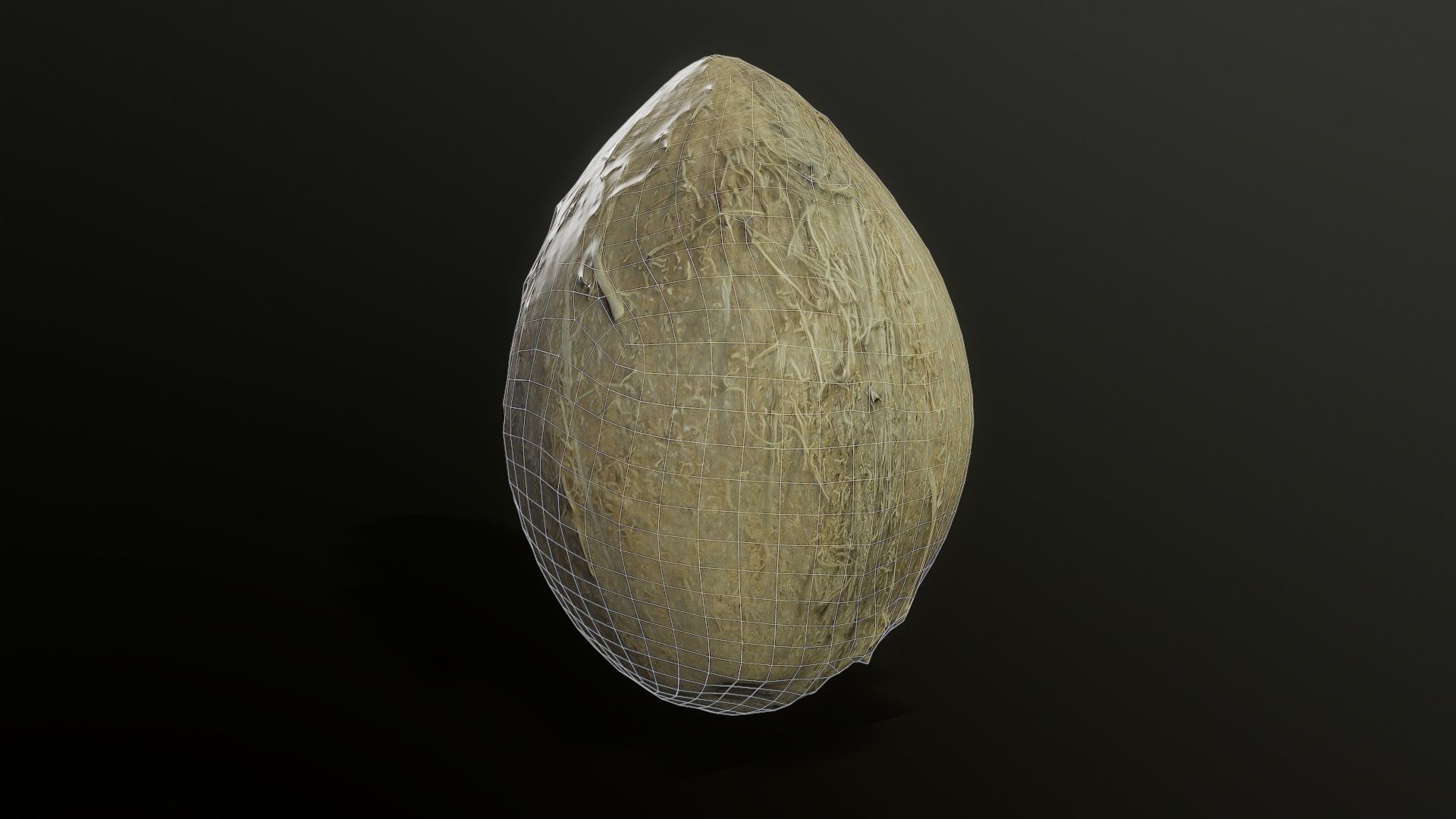 3D Scan Coconut 02 Low-poly 3D model_1