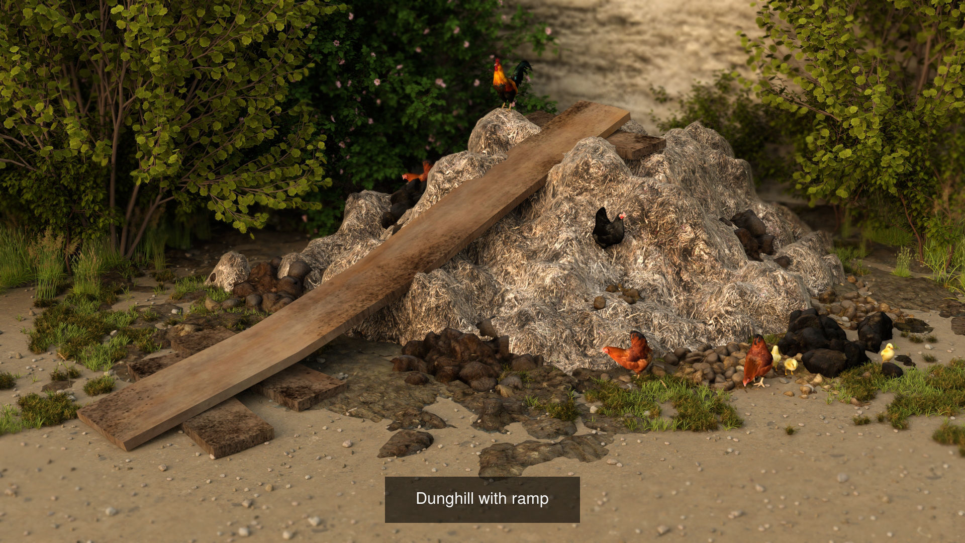 Animal Manure Collection _3