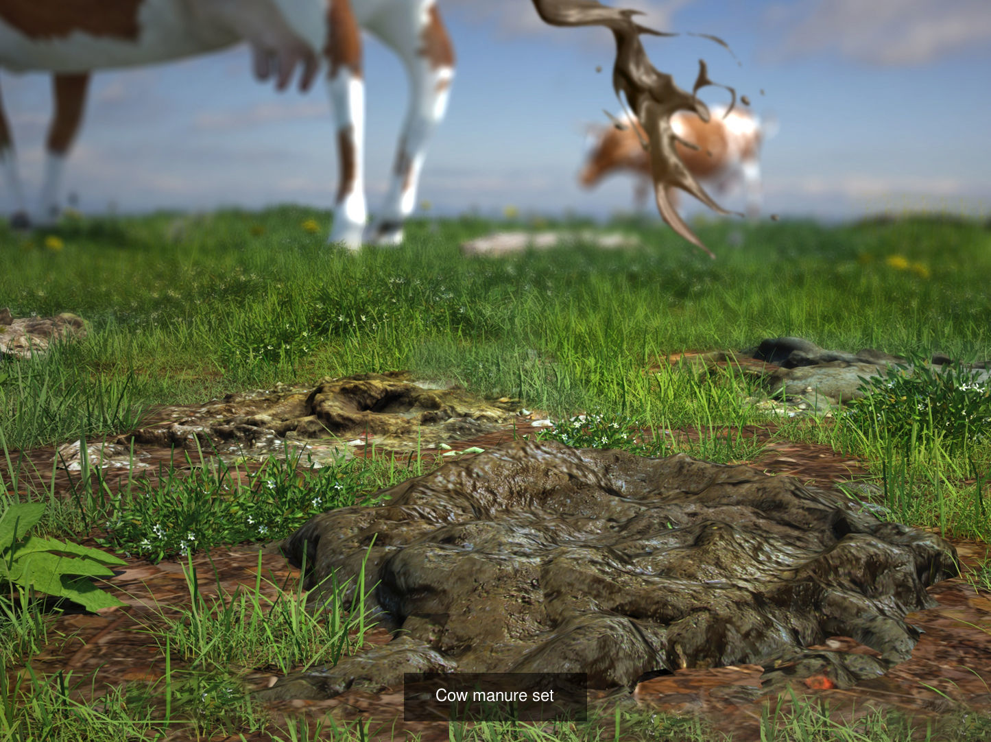 Animal Manure Collection _4