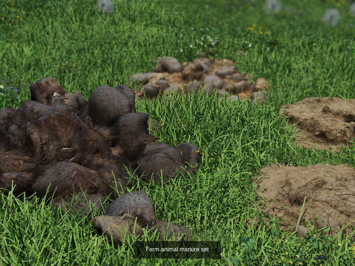 Animal Manure Collection _2