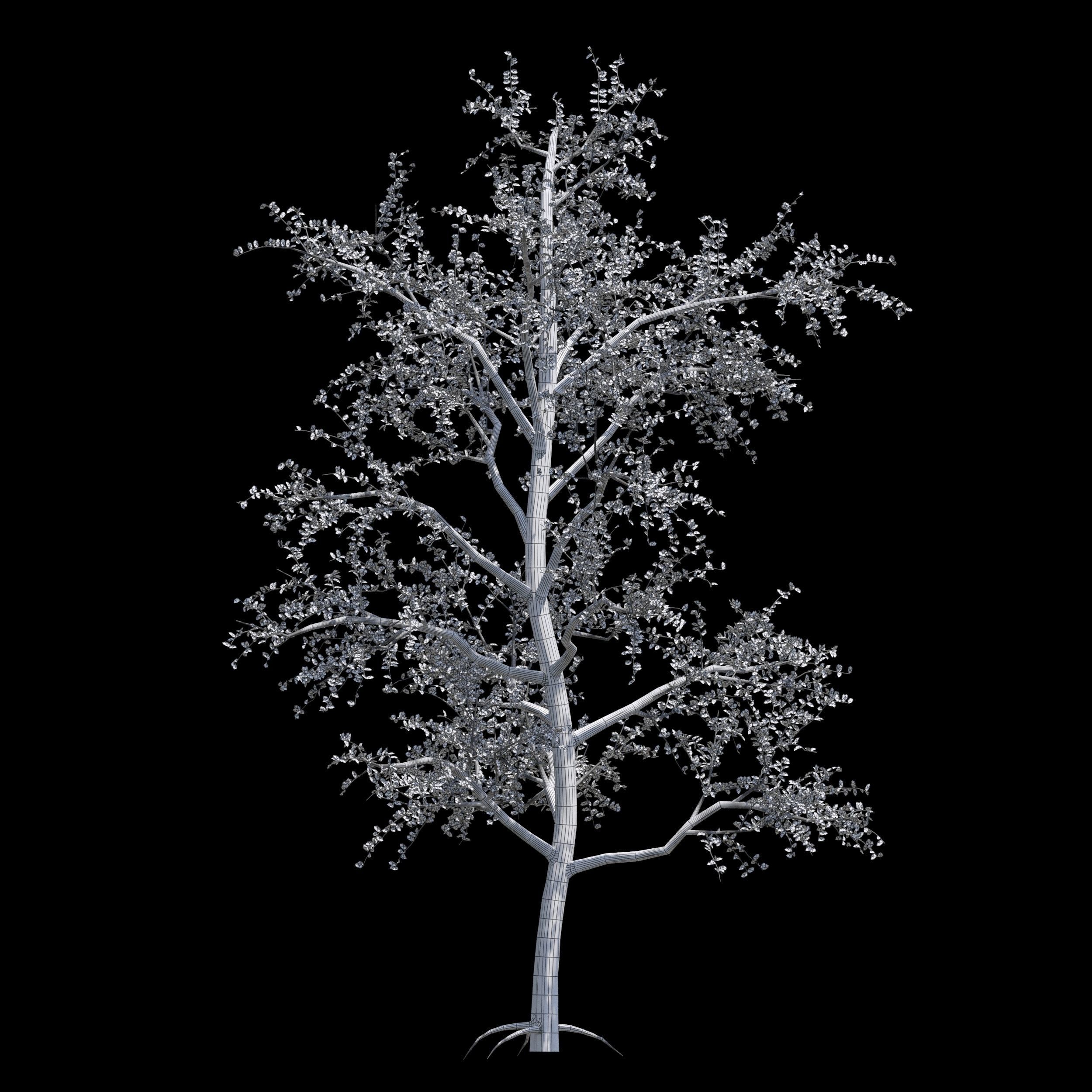 Pack of 5 trees separate model 3D model_8