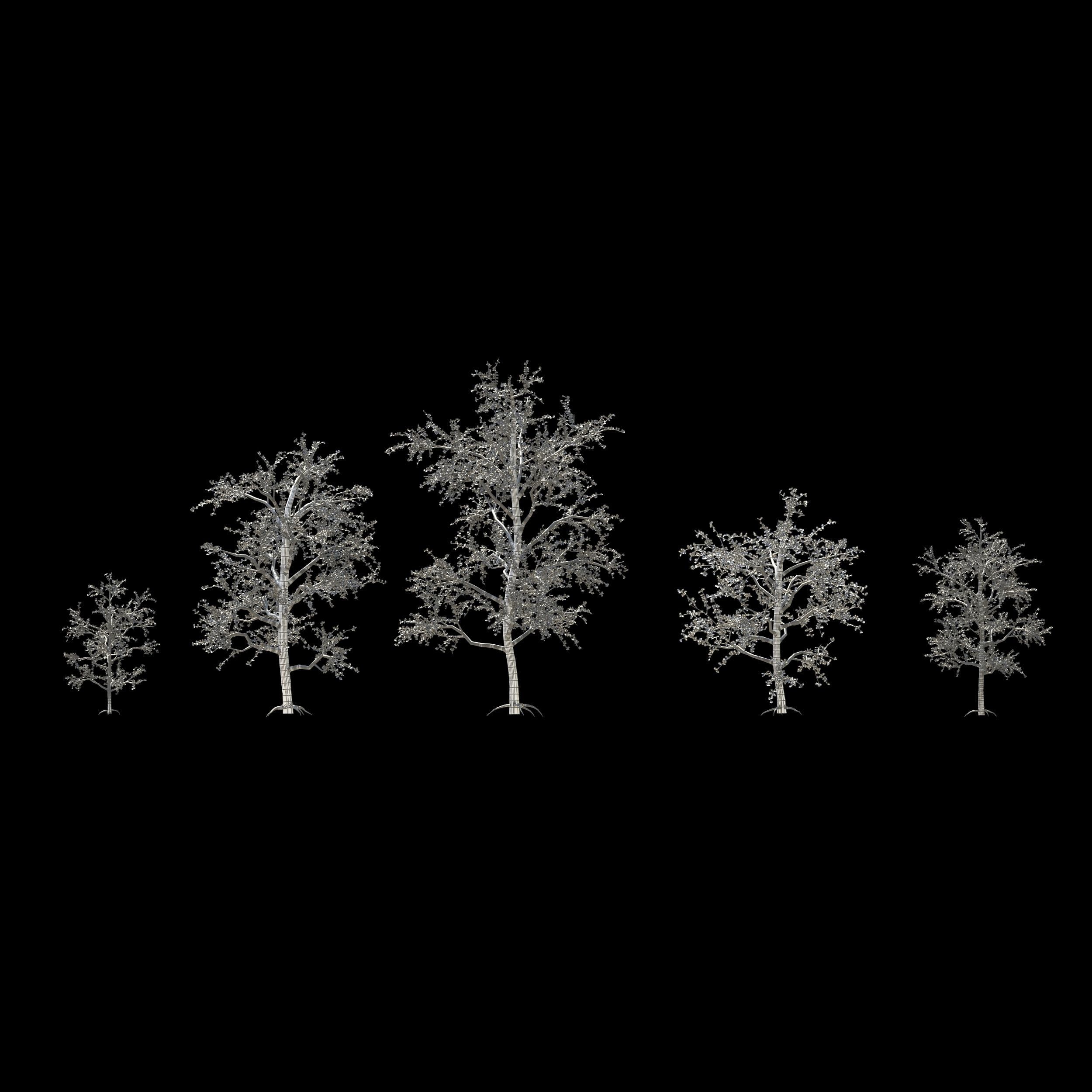 Pack of 5 trees separate model 3D model_5