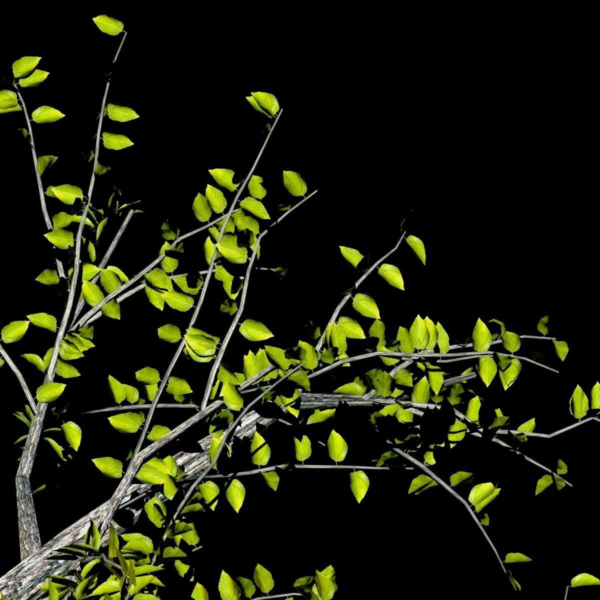 Pack of 5 trees separate model 3D model_3