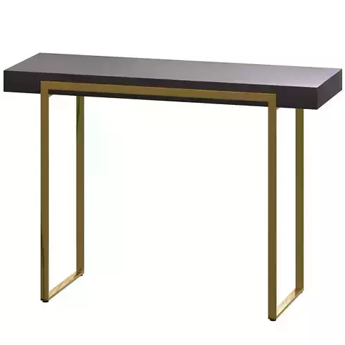 Black  Gold Solid Wood Console Table Accent Table 3D model