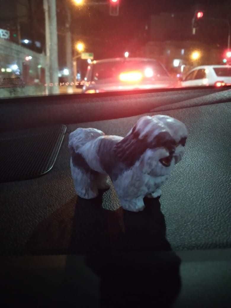 Shih Tzu 2 3D print model_2