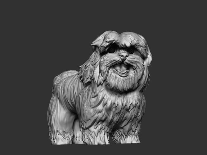 Shih Tzu 2 3D print model