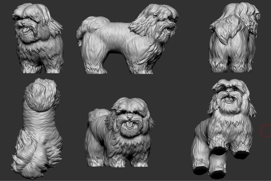 Shih Tzu 2 3D print model_1