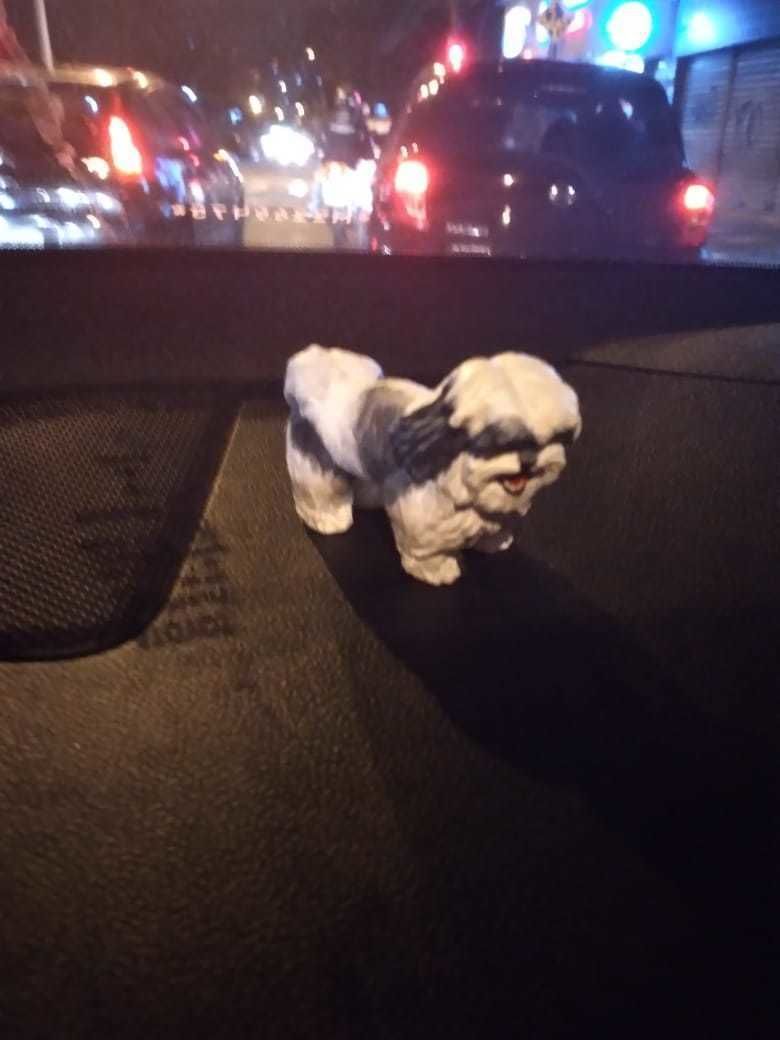 Shih Tzu 2 3D print model_3
