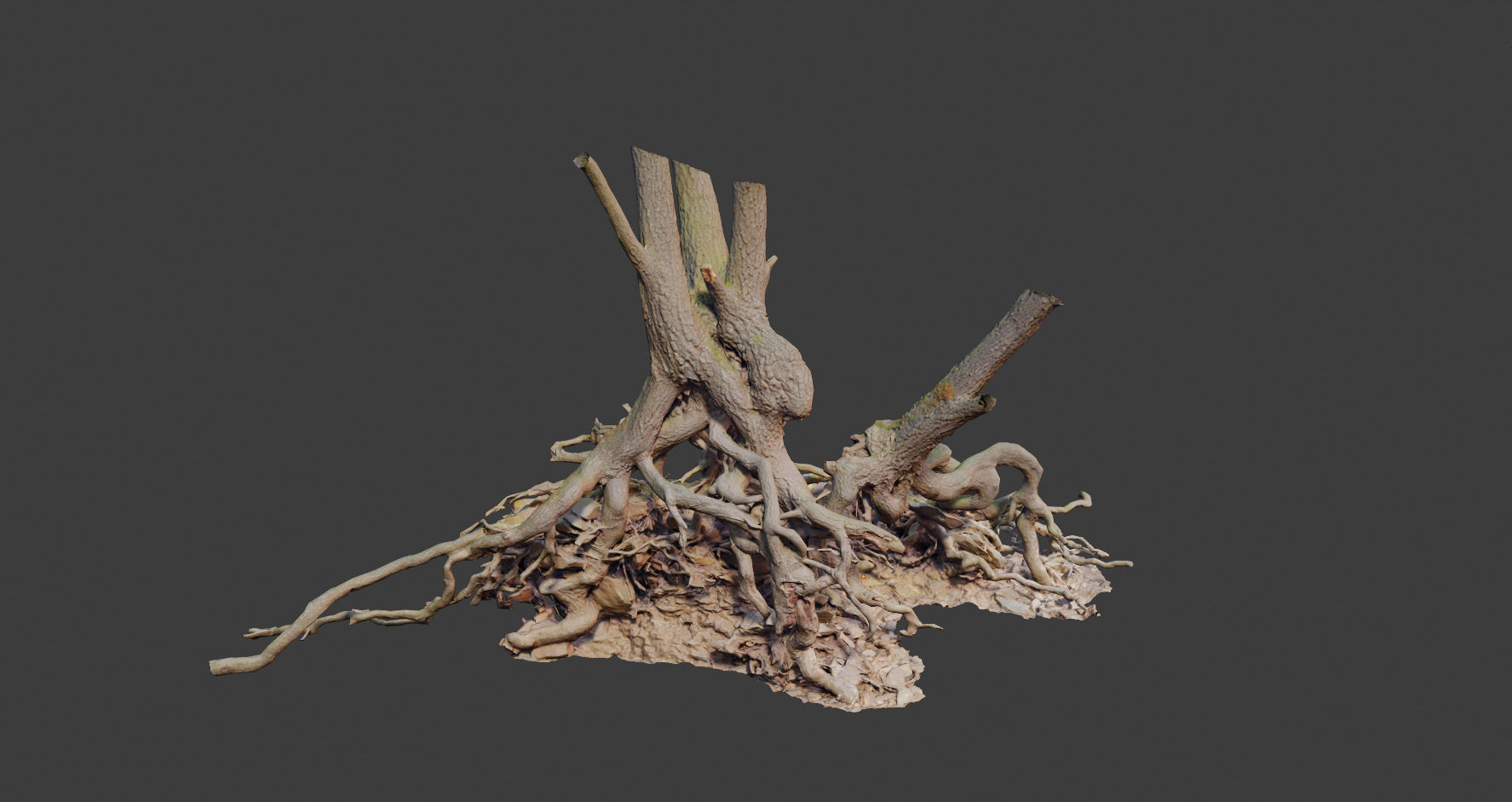 PBR Oak Roots Big Photoscan  Low-poly 3D model_1