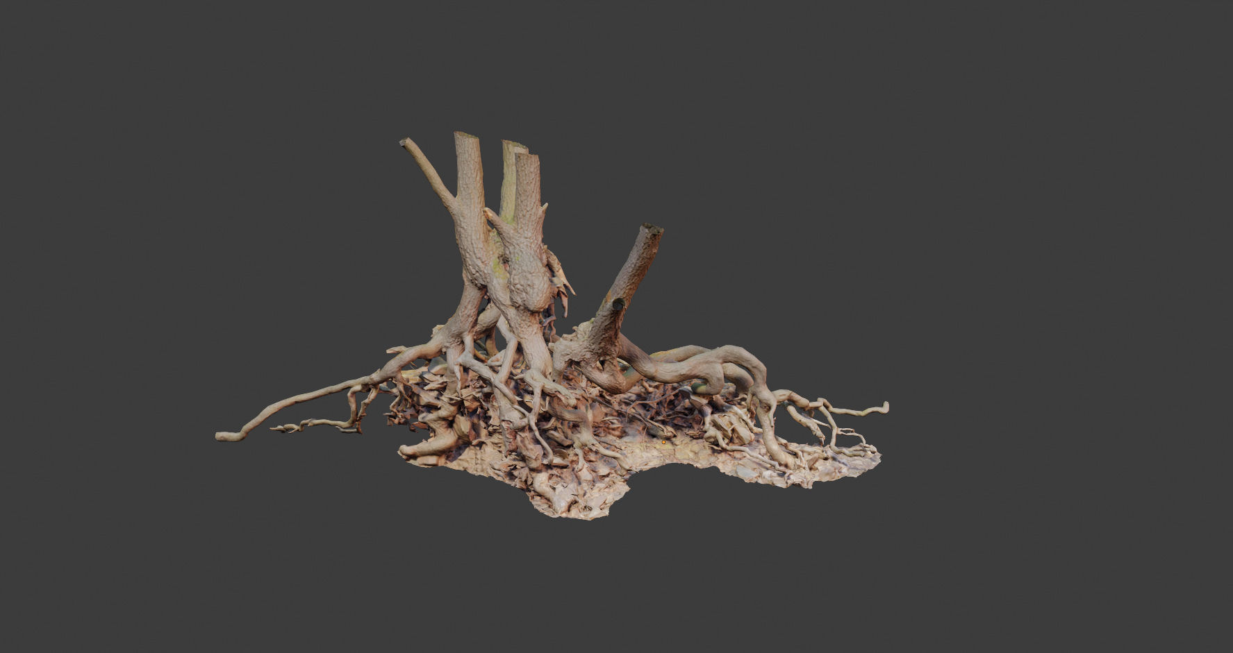 PBR Oak Roots Big Photoscan  Low-poly 3D model_7