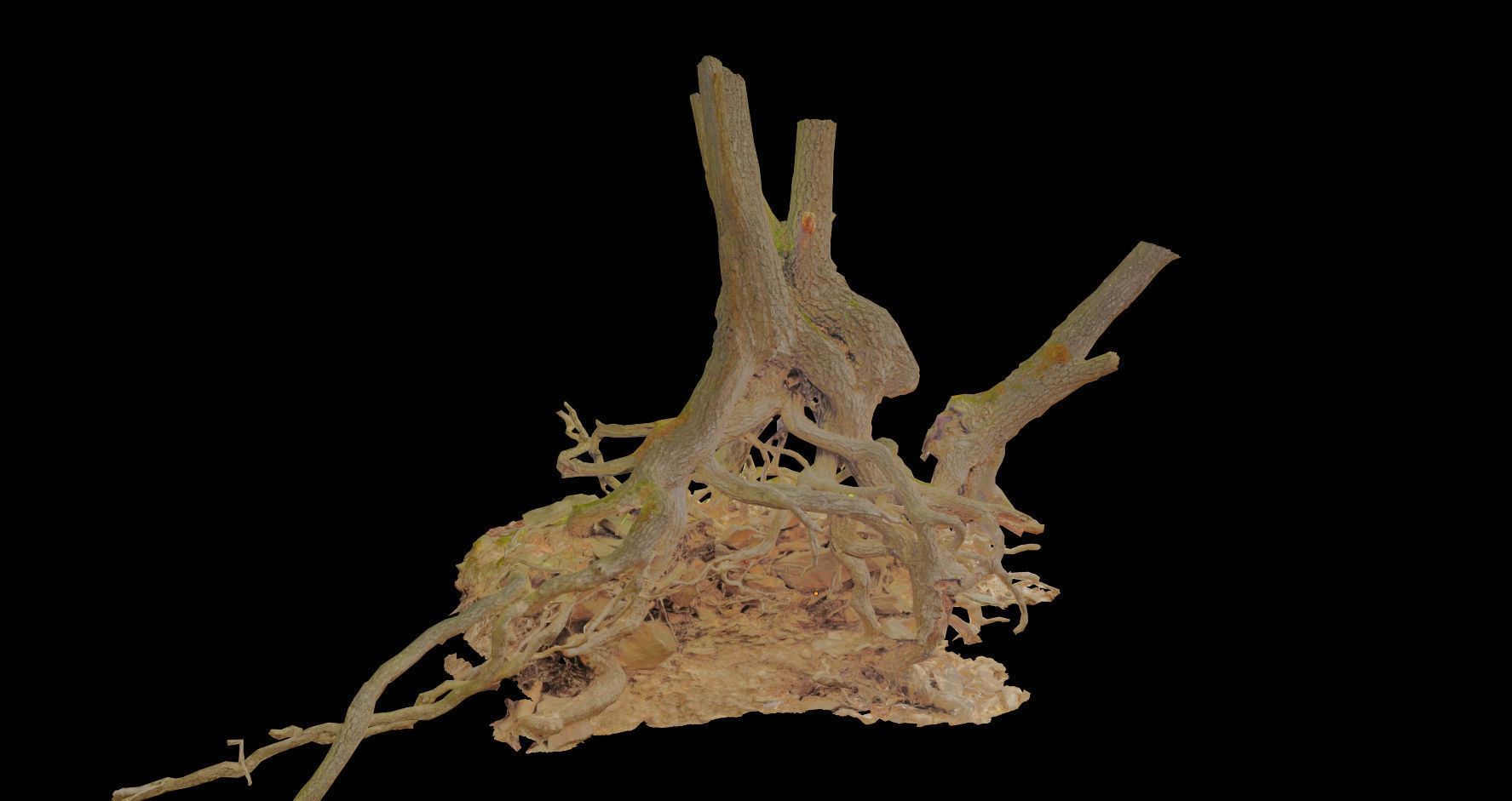 PBR Oak Roots Big Photoscan  Low-poly 3D model_4