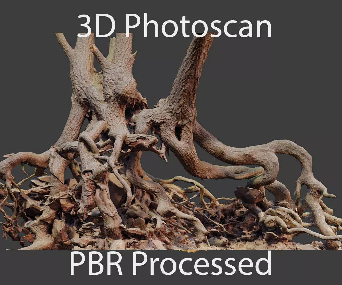 PBR Oak Roots Big Photoscan  Low-poly 3D model_0