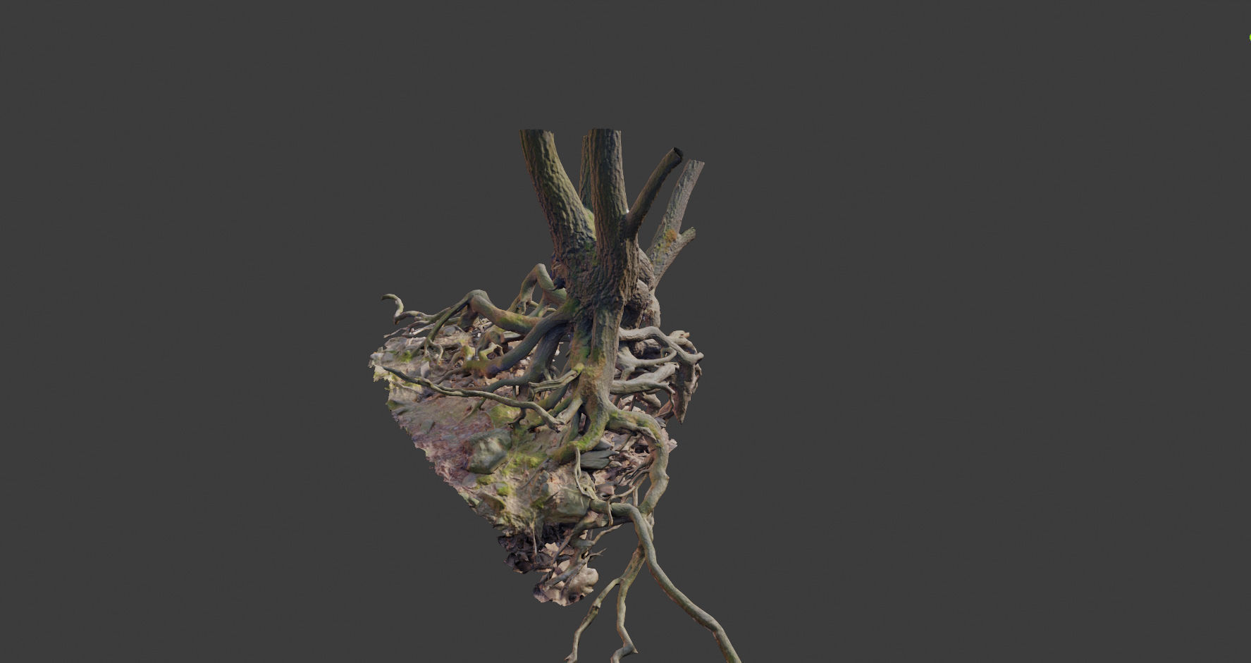 PBR Oak Roots Big Photoscan  Low-poly 3D model_11