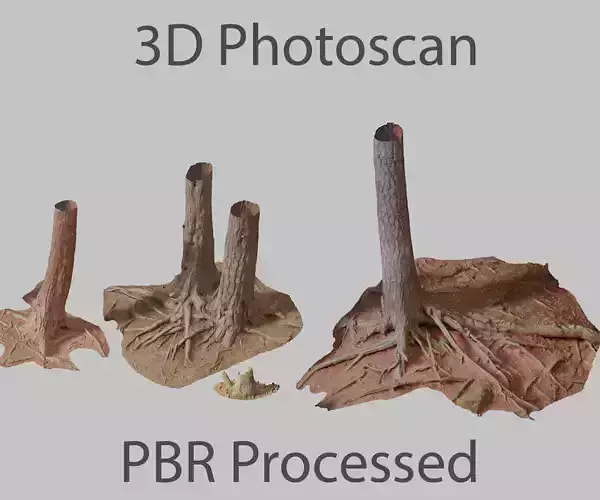PBR Pine Roots Tree Trunk Scan Set Collection Low-poly 3D model