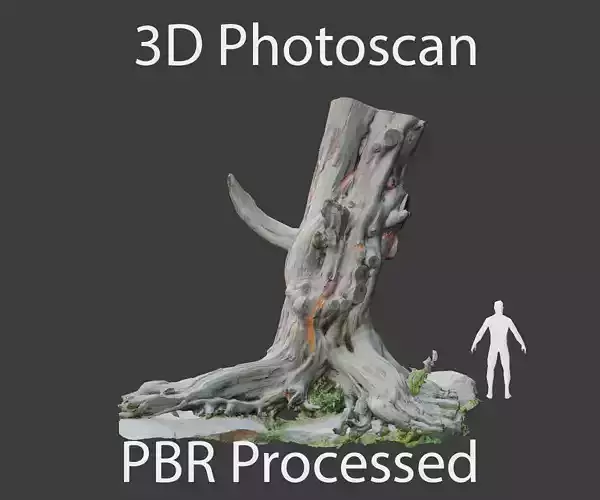 PBR Tree stump dead OLD Photoscan 3D model Low-poly 3D model