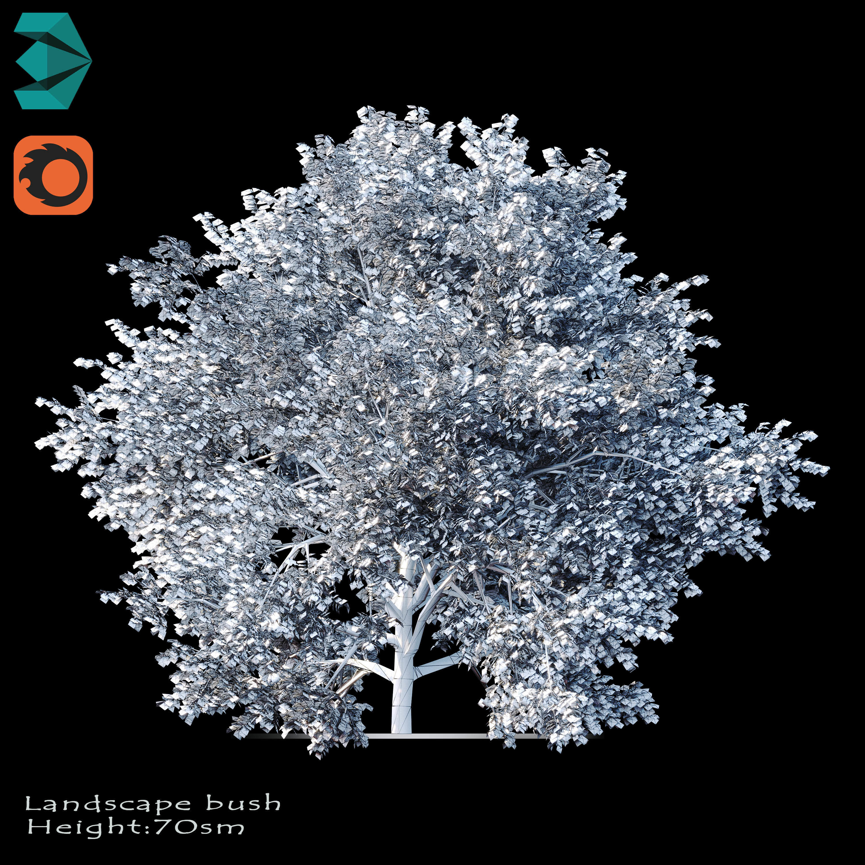 Bushes tree 3D model_5