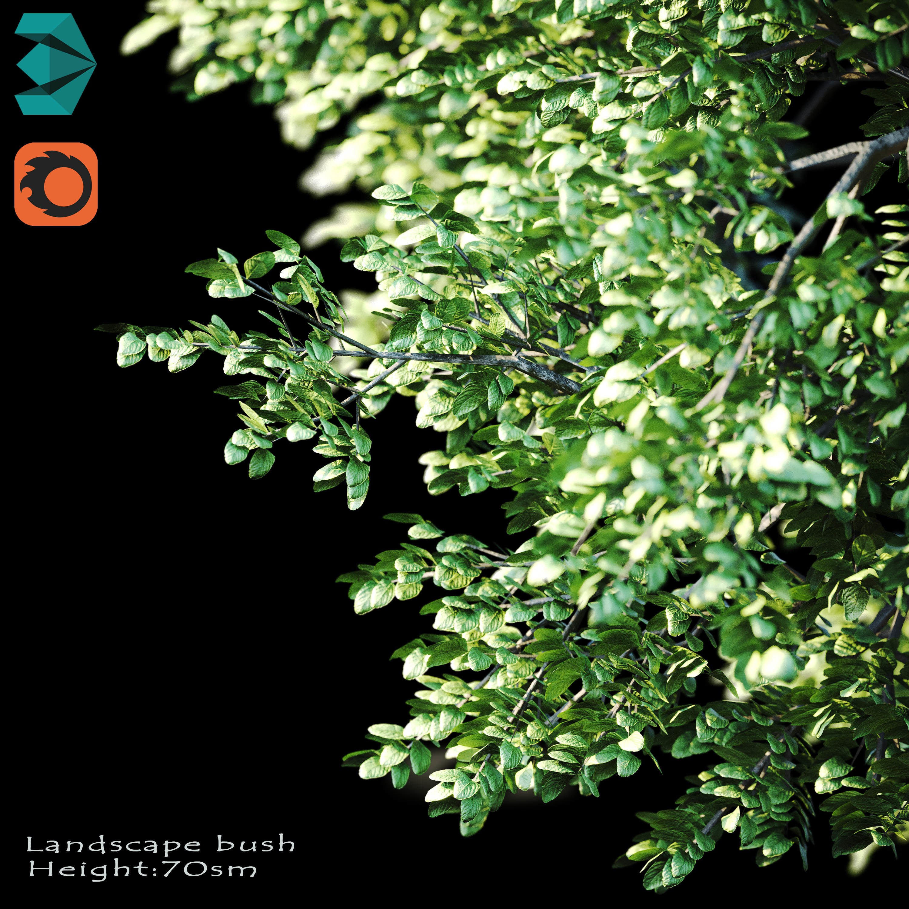 Bushes tree 3D model_3