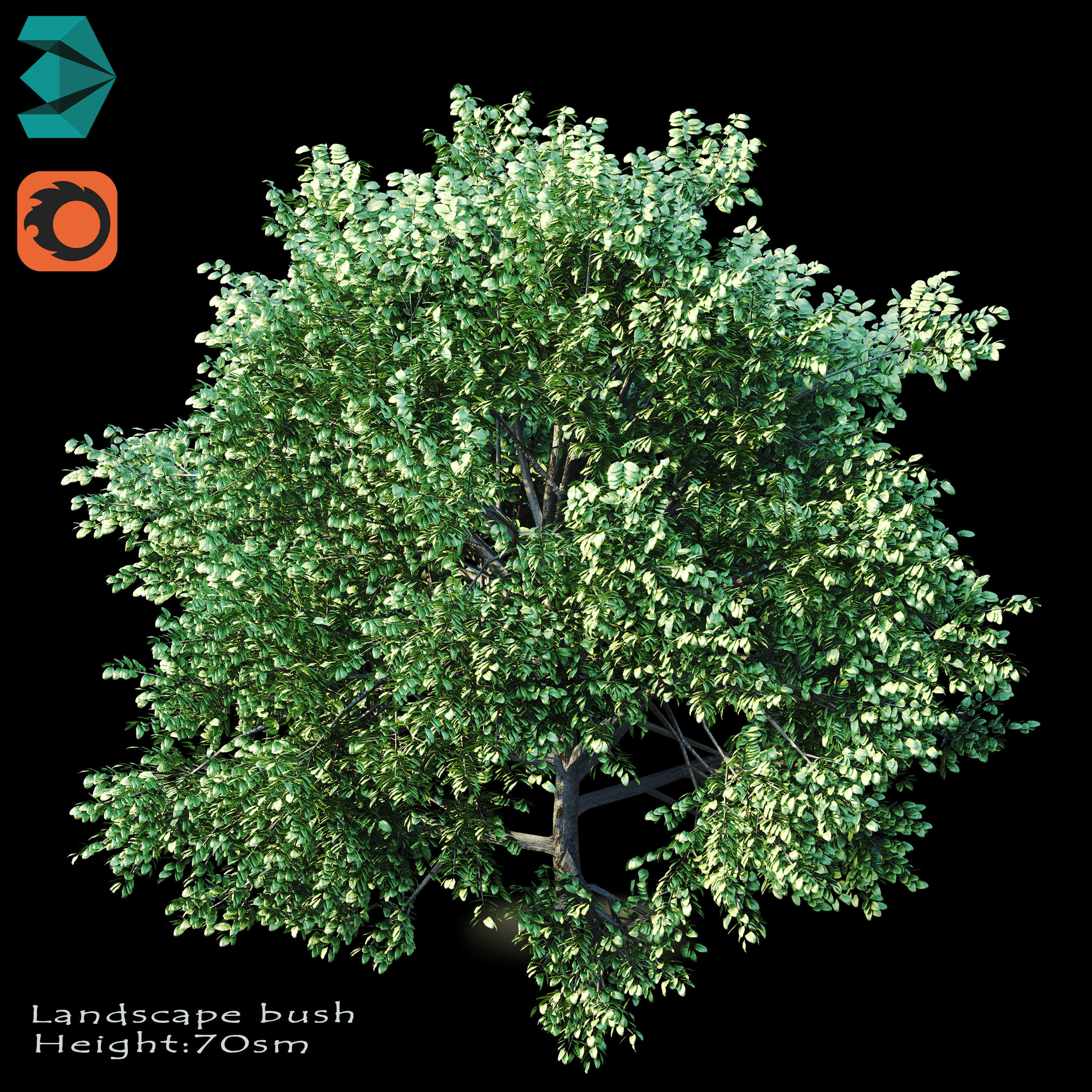 Bushes tree 3D model_2