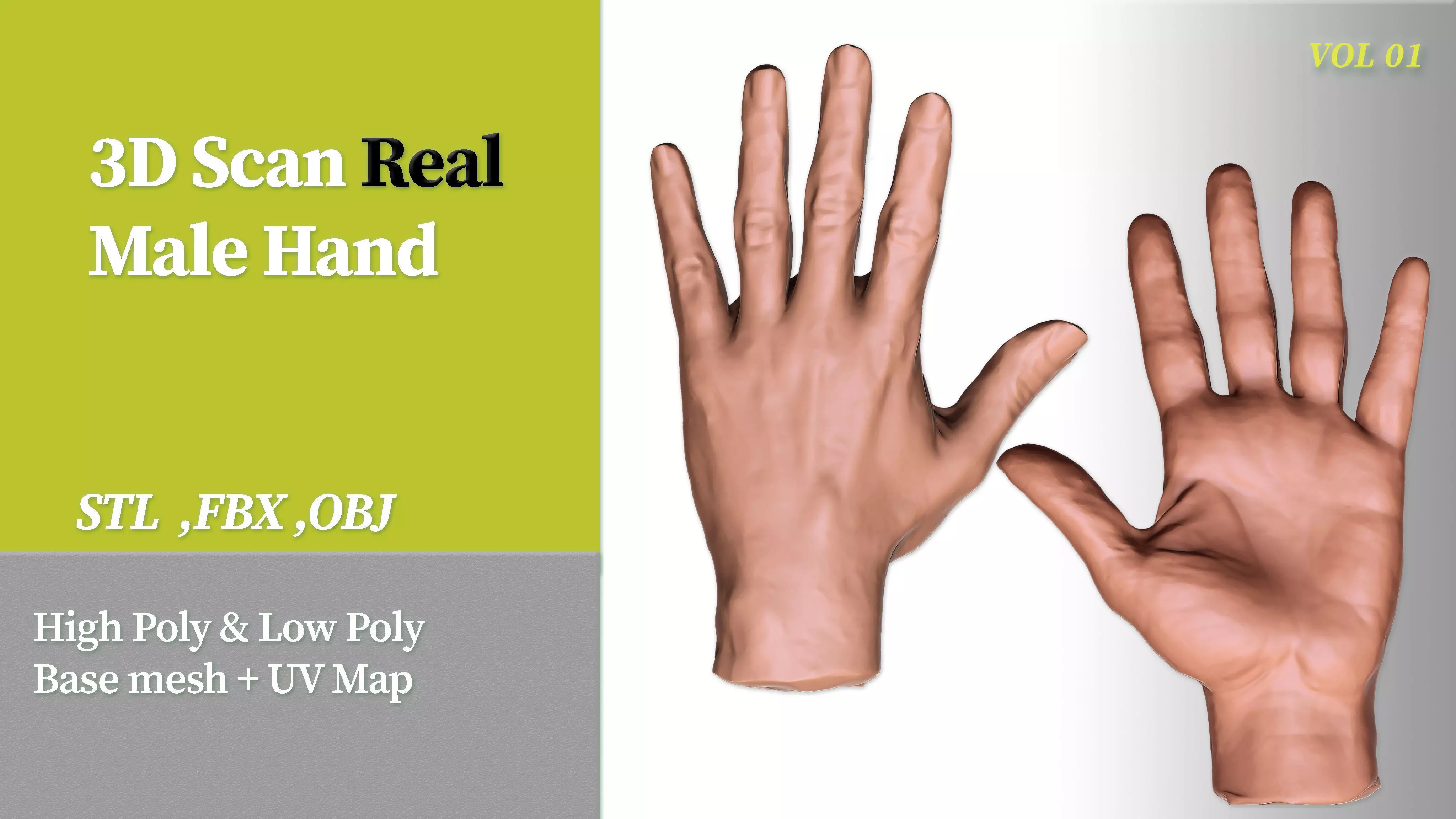 3D Scan Real Male Hand VOL 01 3D print model_0
