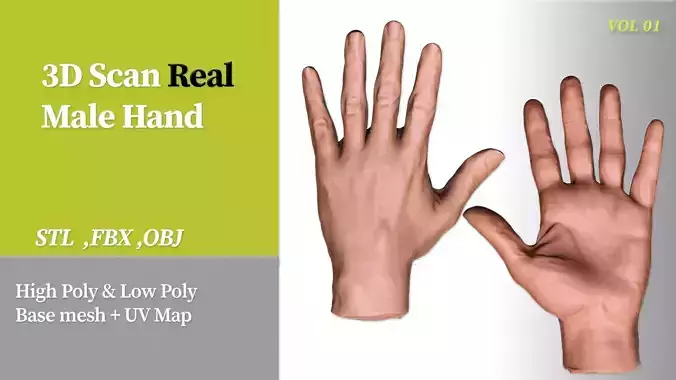 3D Scan Real Male Hand VOL 01 3D print model