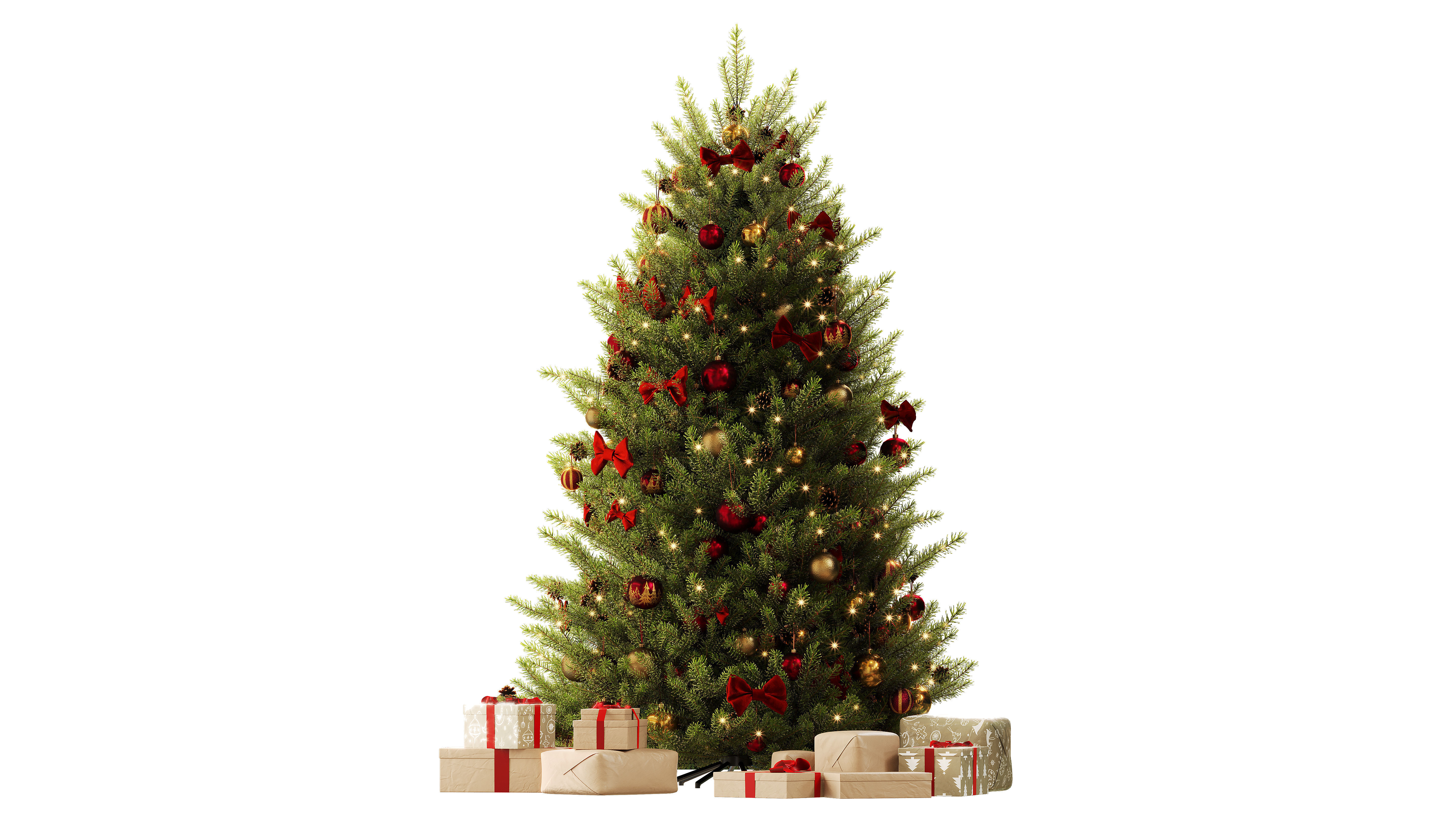 Christmas Tree 3D model_1