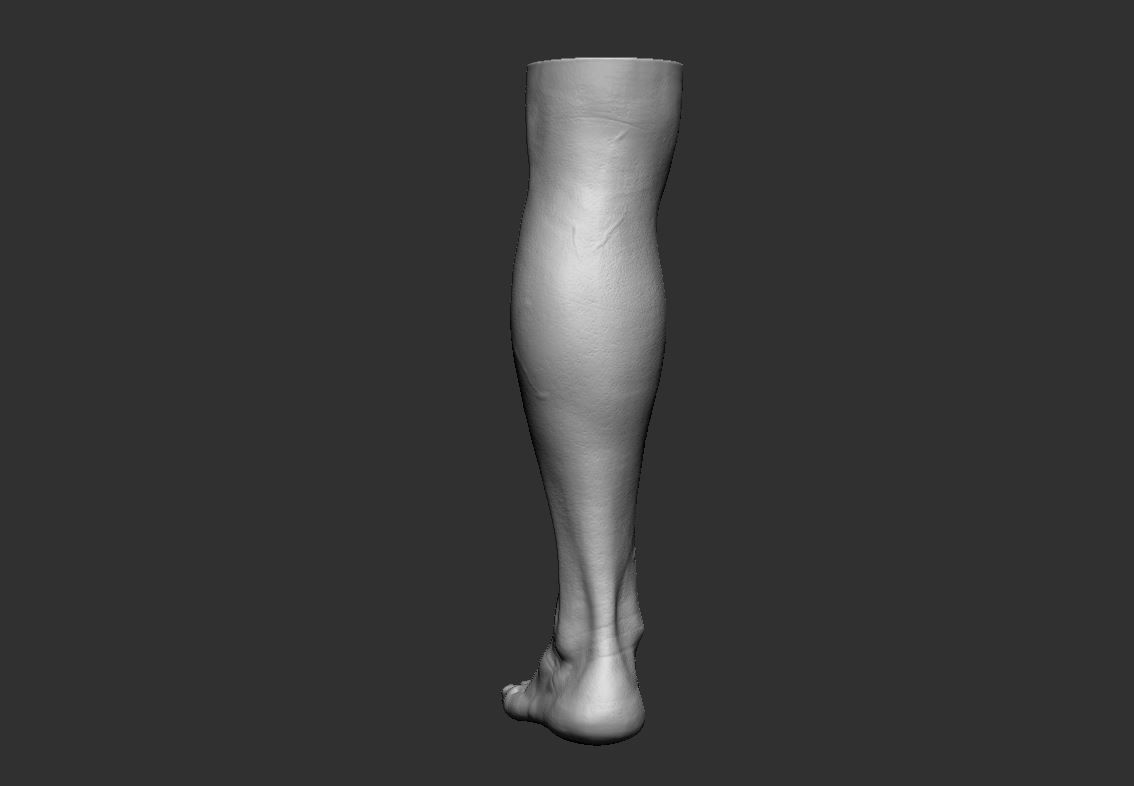 Feet 3d Model 3D print model_3