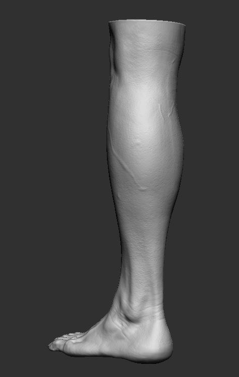 Feet 3d Model 3D print model_9