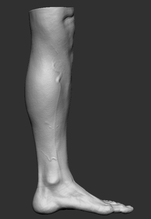 Feet 3d Model 3D print model_10