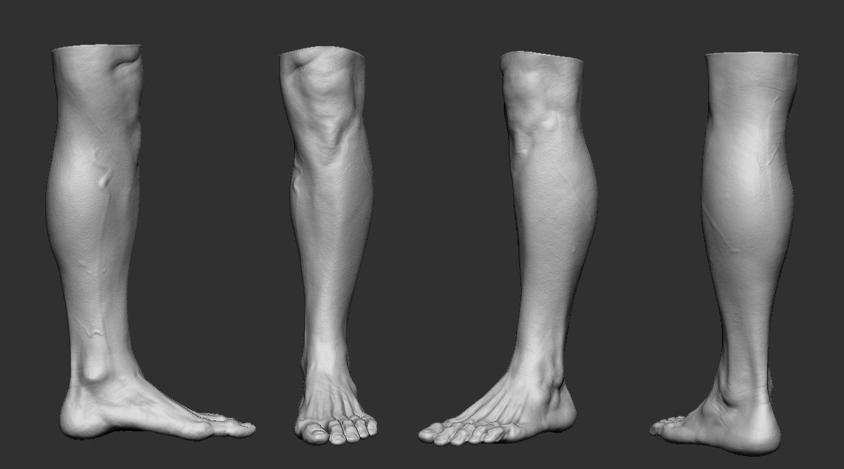 Feet 3d Model 3D print model_6