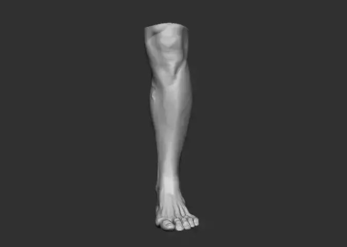 Feet 3d Model 3D print model