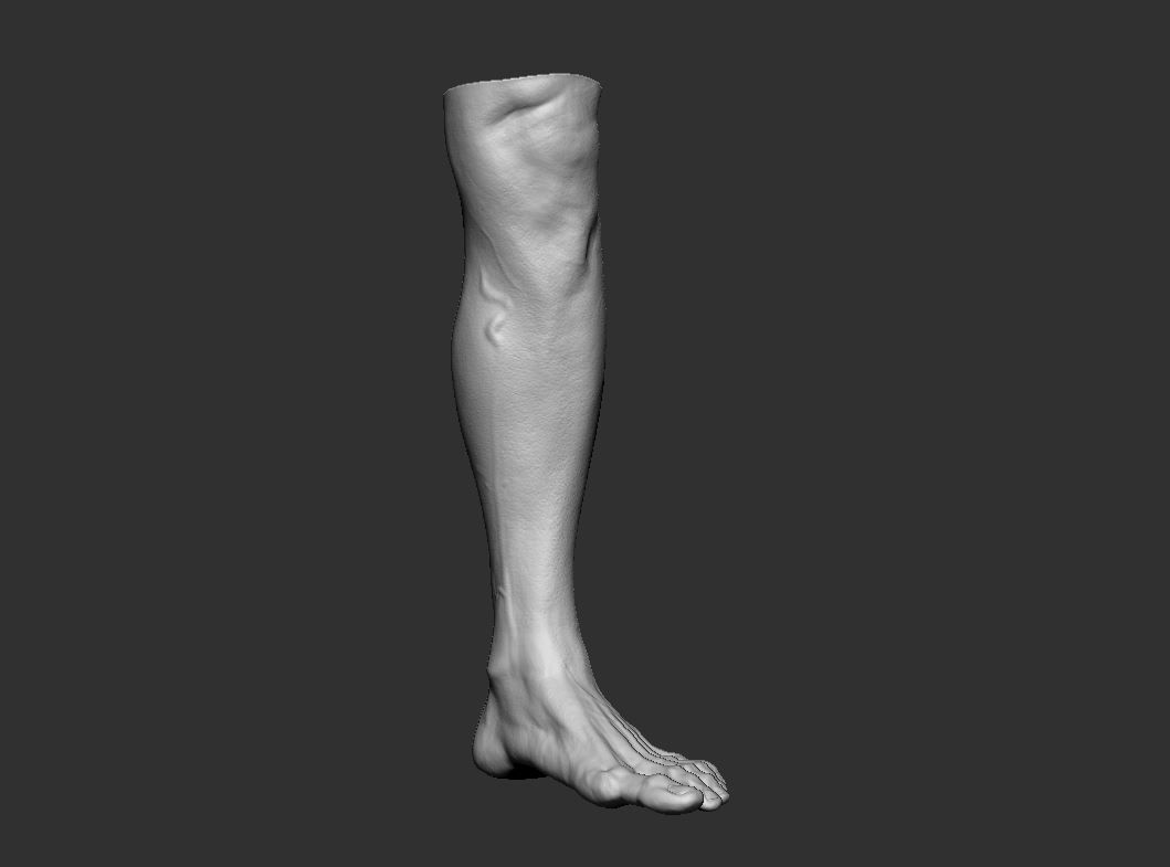 Feet 3d Model 3D print model_1