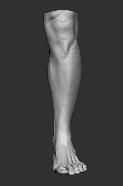 Feet 3d Model 3D print model_8